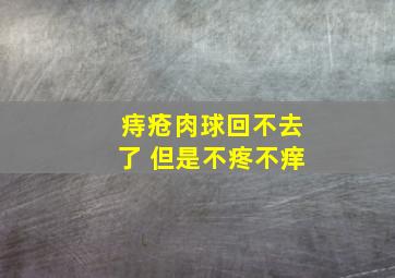 痔疮肉球回不去了 但是不疼不痒